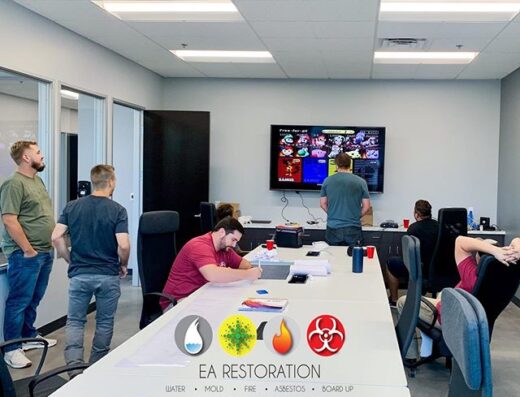 EA, LLC