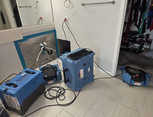 EcoDry Restoration