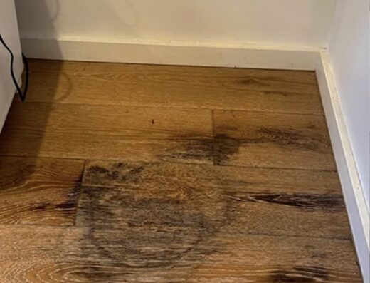 EzFix WD Restoration Mesa