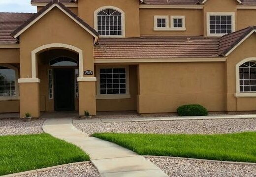 Life in Color Painting Services